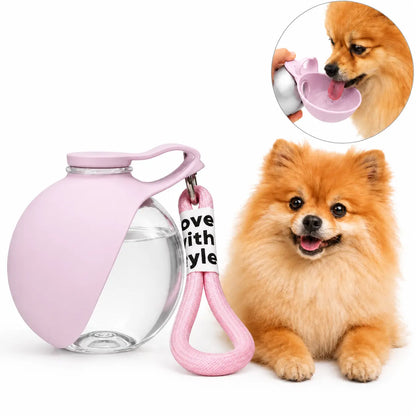 Stainless Steel Leak-Proof Pet Water Bottle (285ml) with Wheat Straw Bone Poop Bag Holder - Portable Outdoor Cleaning Set for Dogs and Cats