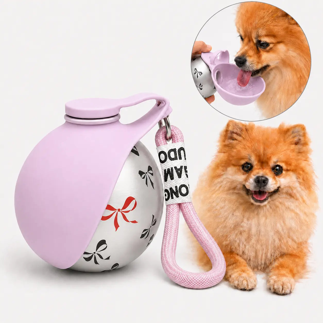 Stainless Steel Leak-Proof Pet Water Bottle (285ml) with Wheat Straw Bone Poop Bag Holder - Portable Outdoor Cleaning Set for Dogs and Cats