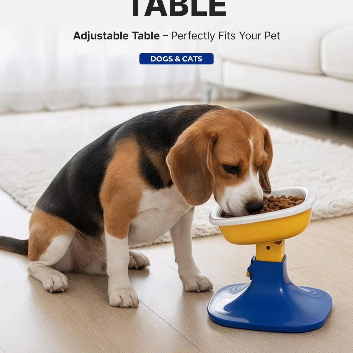PETHROOM Adjustable Height Feeding Stand with Non-Slip Design and Durable Ceramic Bowls for Dogs and Cats