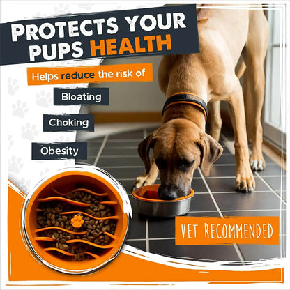 Mighty Paw Healthy Digestion Bundle: Maze Slow Feeder Bowl Insert with All-Natural Himalayan Yak Cheese Food Topper