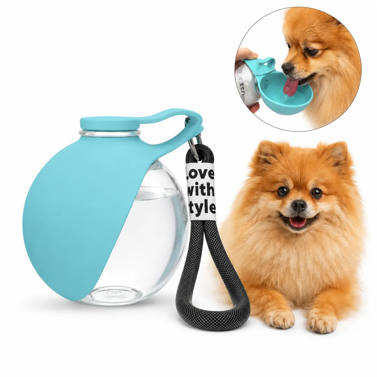 Stainless Steel Leak-Proof Pet Water Bottle (285ml) with Wheat Straw Bone Poop Bag Holder - Portable Outdoor Cleaning Set for Dogs and Cats
