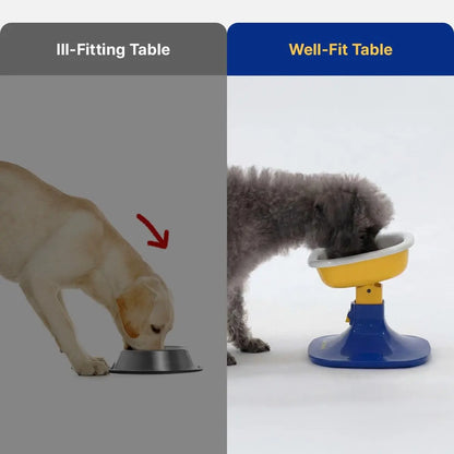 PETHROOM Adjustable Height Feeding Stand with Non-Slip Design and Durable Ceramic Bowls for Dogs and Cats